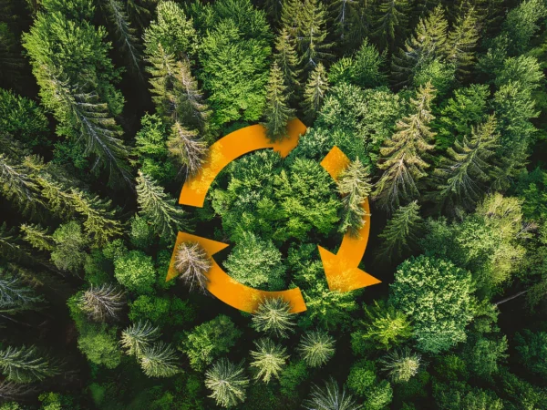 Titelbild des FISCHER Weilheim Nachhaltigkeitsberichts, es ist ein Wald mit orangenen Pfeilen als Zeichen der gelebten Kreislaufwirtschaft zu sehen.